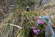20 In decisa salita  con ..erica in fiore